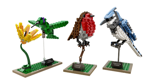 lego-ideas-21301-Birds